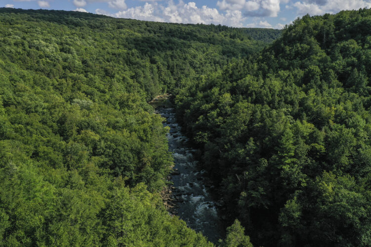 Western Maryland biking trails under threat